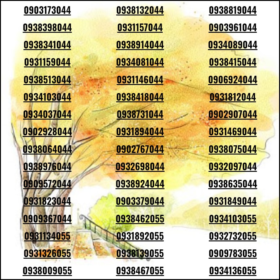 Xả SIM ĐẸP khuyến mãi khủng