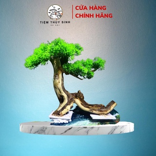 Lũa bonsai, layout bonsai trang trí bể thuỷ sinh, cây bonsai bể thuỷ sinh mini bền đẹp, không ra nhớt