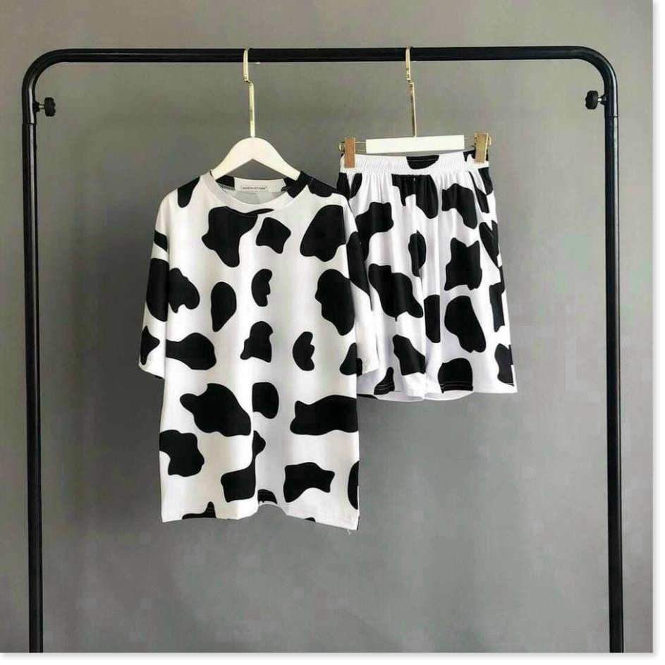 Set nguyên bộ bò sữa quần đùi áo thun ngắn tay chất thun cotton mềm mịn mát thời trang mùa hè, set đồ bộ mặc nhà | BigBuy360 - bigbuy360.vn