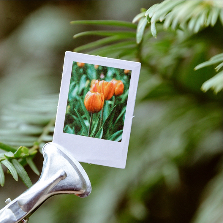 Hộp 46 miếng dán sticker hình mùa hoa tulip trang trí sổ tay Box Sticker ST335