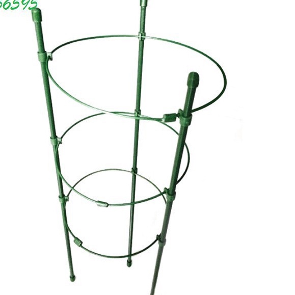 Giá đỡ hoa hồng, hoa leo đa năng kích thước cao 75cm, đường kính vòng tròn 25cm c/lượng, hg C/ty.