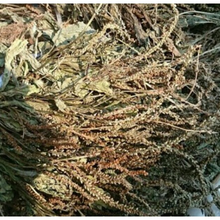 1kg Bông Mã Đề khô hàng loại 1