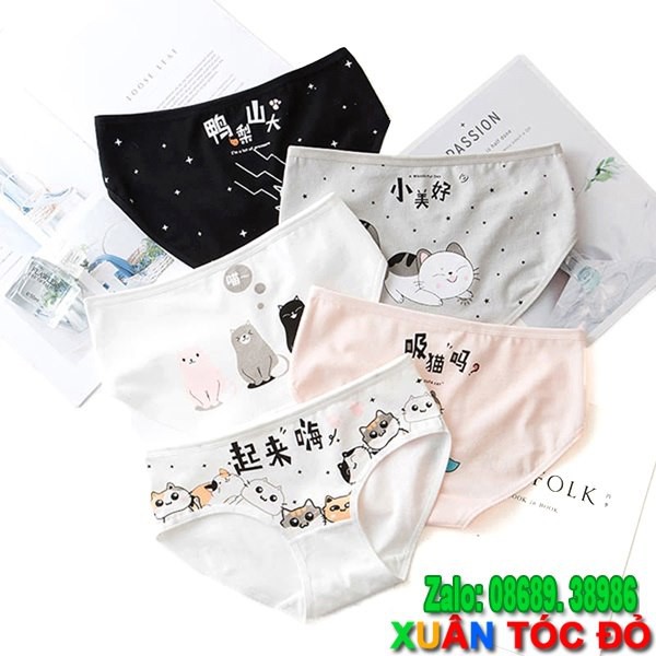 SỈ ZALO RẺ HƠN NHIỀU_ Quần Lót 5 Kiểu Mèo Kute Bá Đạo Mới N040