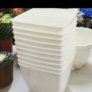 - combo 10 cái chậu vuông trồng cây đường kính 16cm hàng cty, loại 1.