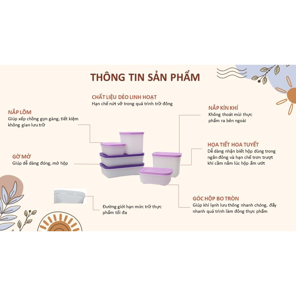 Hộp Trữ Đông cao cấp violet đông dẻo tupperware