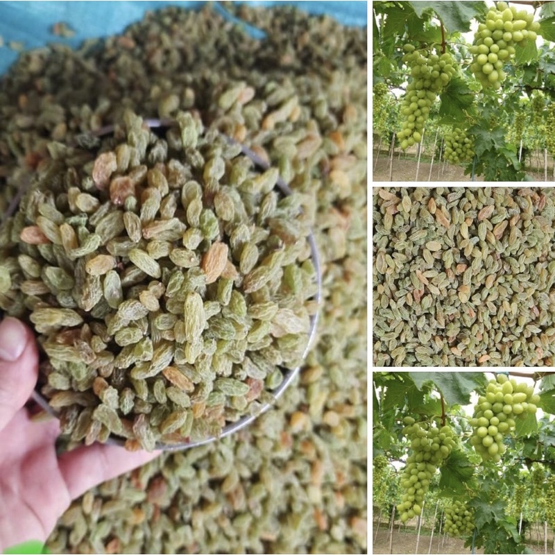 Nho Xanh Khô Ninh Thuận Loại 1 Hũ 500g