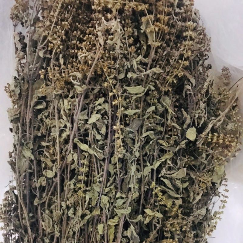 Hương nhu tươi_khô lá é