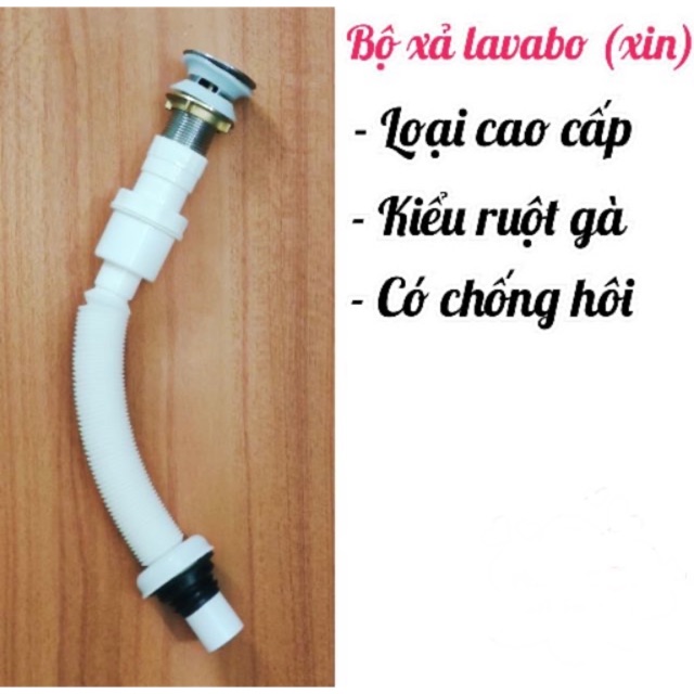 Bộ xả lavabo cao cấp chống hôi