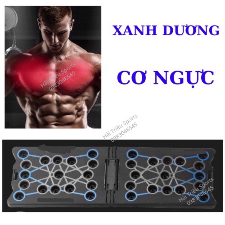 Dụng cụ chống đẩy hít đất đa năng tại nhà momo247