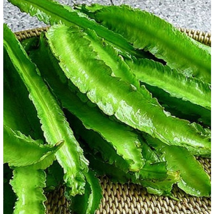 Hạt giống đậu rồng cao sản  KNS1070 - Gói 5gram