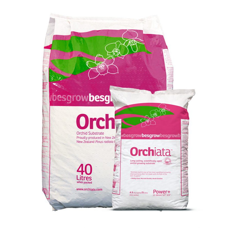 2 kg vỏ thông đã xử lí nhập khẩu Newziland Orchiata (9 lít)