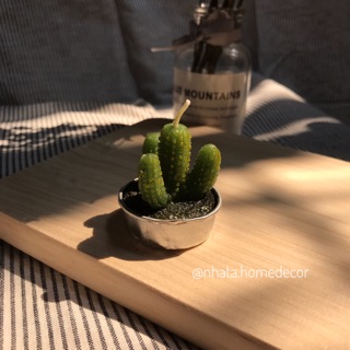 [ĐỒ DECOR] NẾN XƯƠNG RỒNG