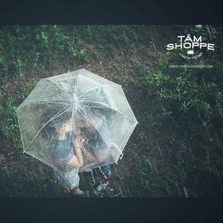 Ô đi mưa trong suốt / ô trong suốt
