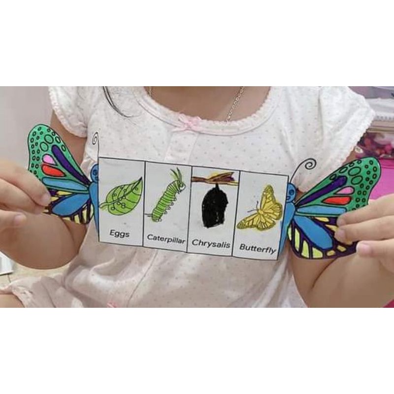 Trò chơi giáo dục tìm hiểu vòng đời loài bướm cánh tiên cho trẻ từ 2 tuổi sáng tạo