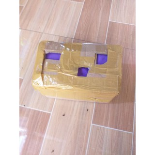 trứng ruồi lính đen 20g