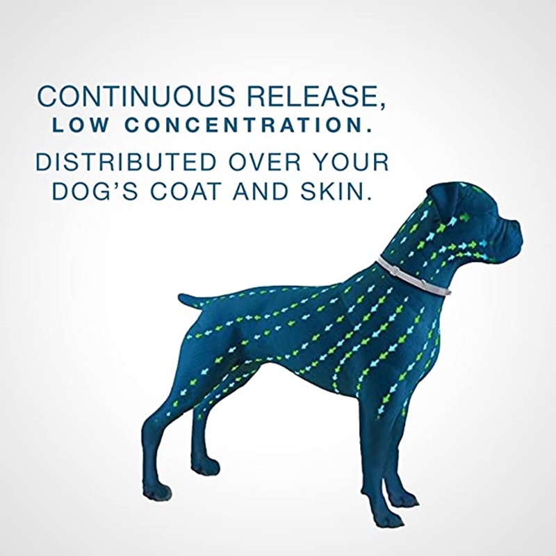 Vòng Cổ Chống Bọ Chét Và Côn Trùng Có Thể Thu Gọn 38cm 70cm Cho Thú Cưng Mèo