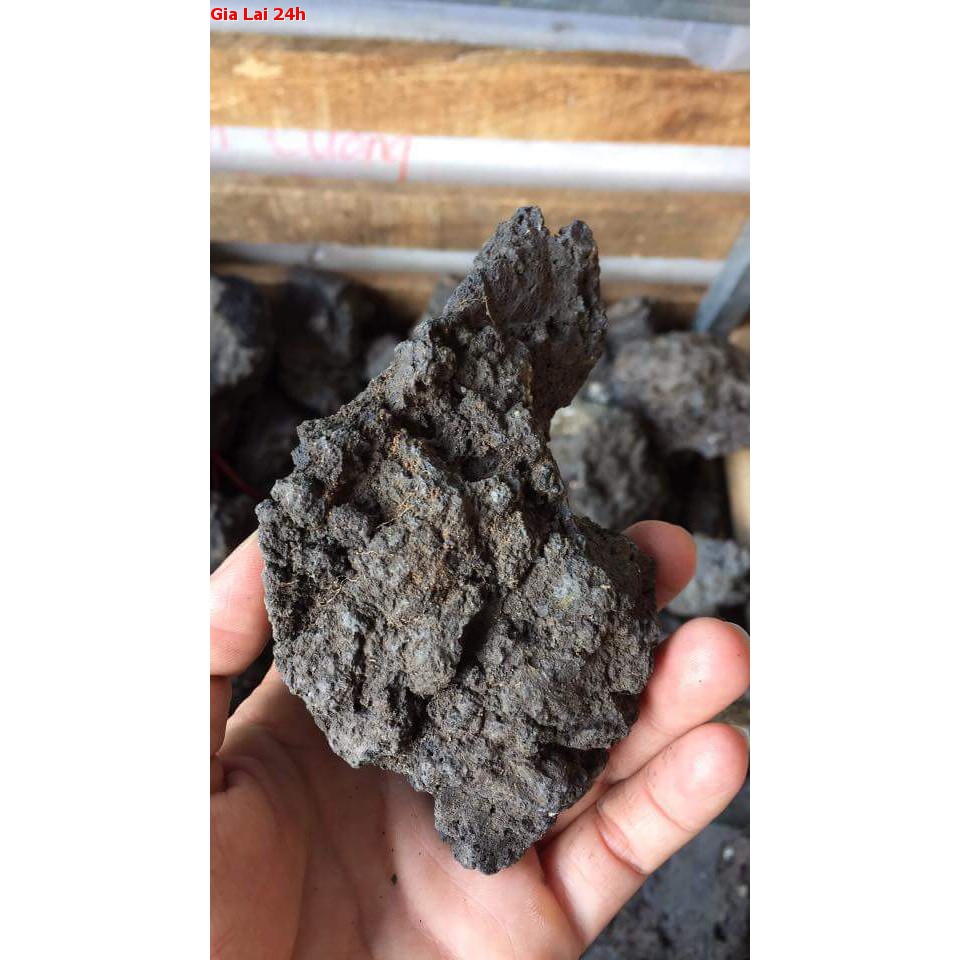 Đá đen gia lai cho bể cá bể thủy sinh