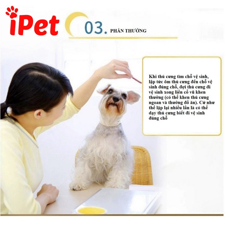 Chai Xịt Hướng Dẫn Đi Vệ Sinh Cho Chó Đi Đúng Chỗ Bioline Puppy Training - iPet Shop