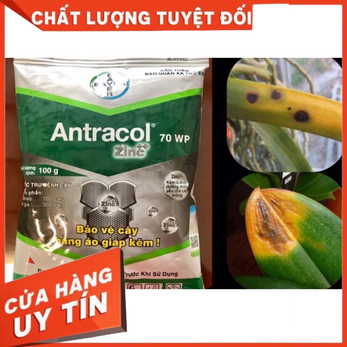 Thuốc Trừ Bệnh Cây Trồng ANTRACOL  -Bayer - Nhà thuốc An Khang