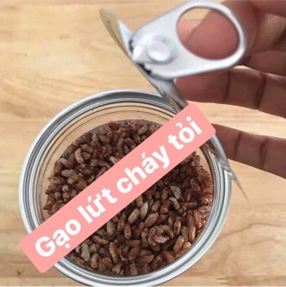 Gạo Lứt Cháy Tỏi (không hoá chất độc hại, không chất bảo quản) 300g