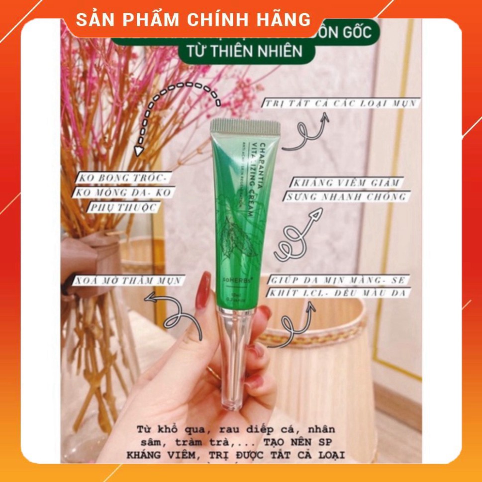 Cao Khổ Qua Diếp Cá Tràm trà - soHERBs 10m