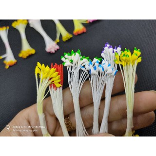 Nhị bột tép làm hoa voan