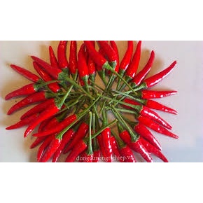 Hạt Giống Ớt Chỉ Thiên F1 Siêu Cay (gói 100 Hạt)Tặng Kèm Hướng Dẫn, Kích Mầm-Tổng kho hạt giống giá rẻ