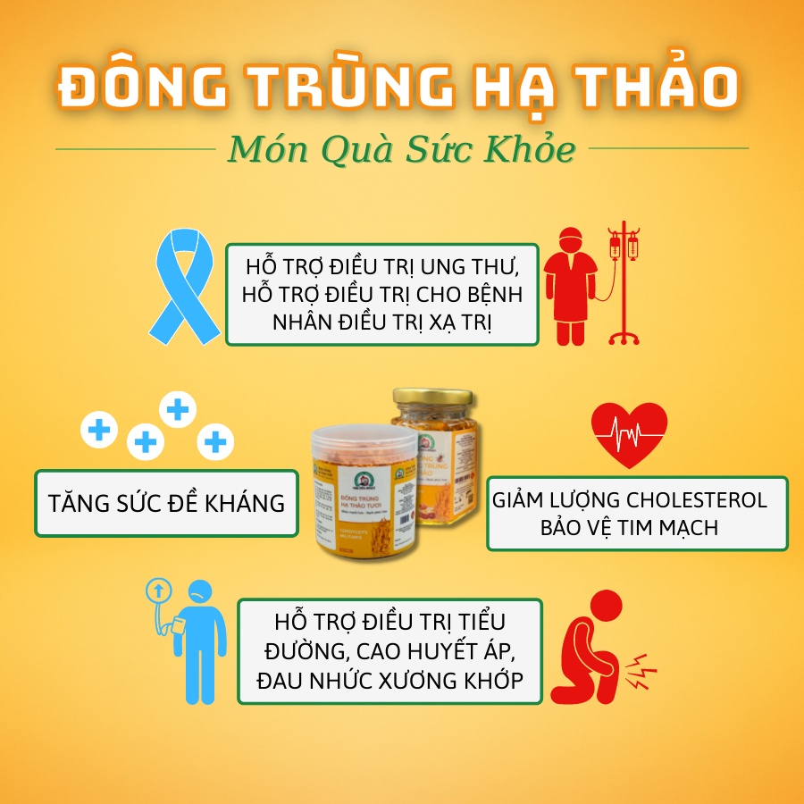 Đông Trùng Hạ Thảo sấy thăng hoa Nguyên Phát hộp 10 gram cao cấp - Bồi bổ cơ thể - Tăng sức đề kháng - Nấu canh, pha trà