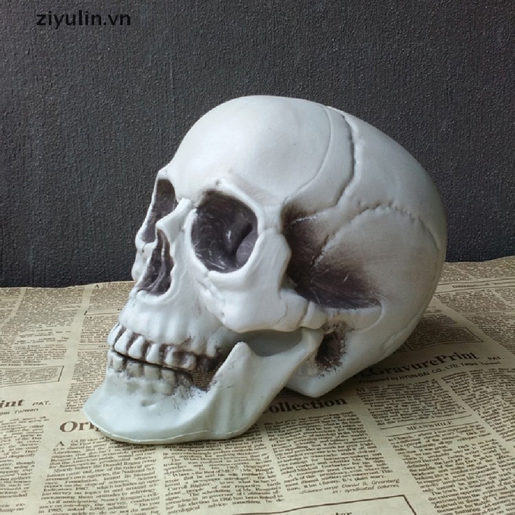 Đồ trang trí Đầu Lâu Kinh Dị Xương Sọ ziyulin Trang Trí Halloween