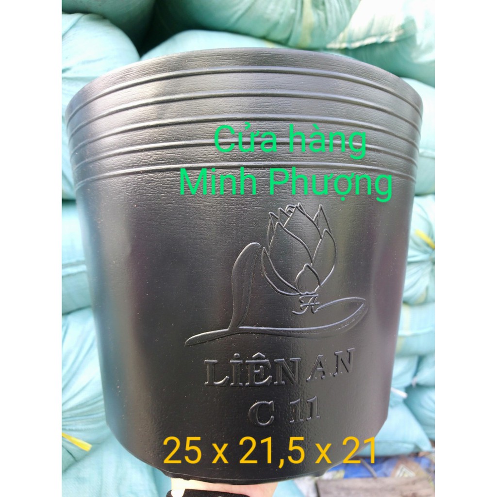 Chậu nhựa đen C11 nhỏ