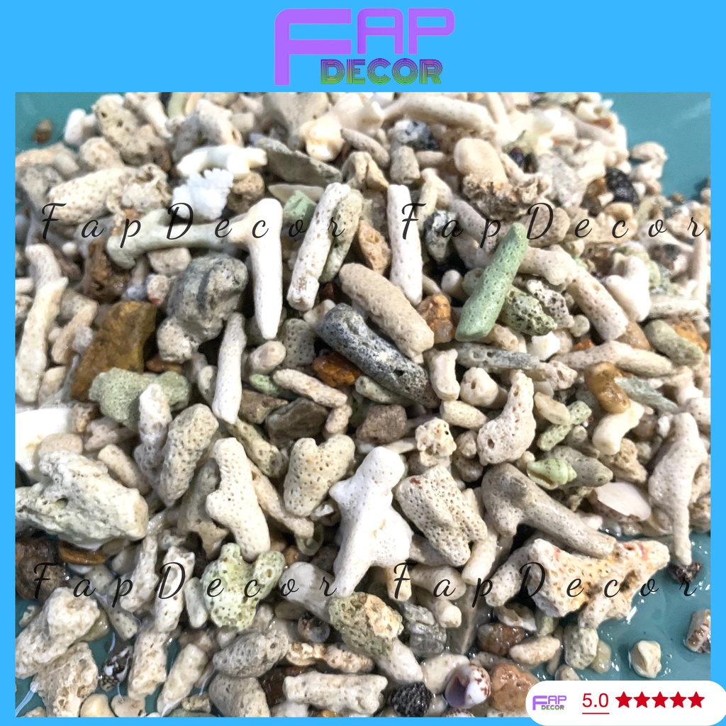 1000GR SAN HÔ VỤN LỌC NƯỚC TĂNG PH TRONG NƯỚC, TRANG TRÍ, TIỂU CẢNH, LÓT NỀN - FAPDECOR
