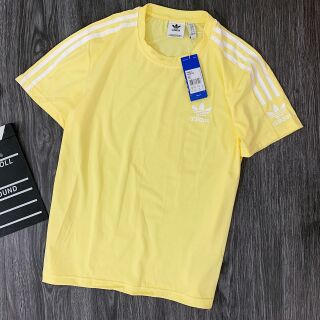 Áo thun Adidas