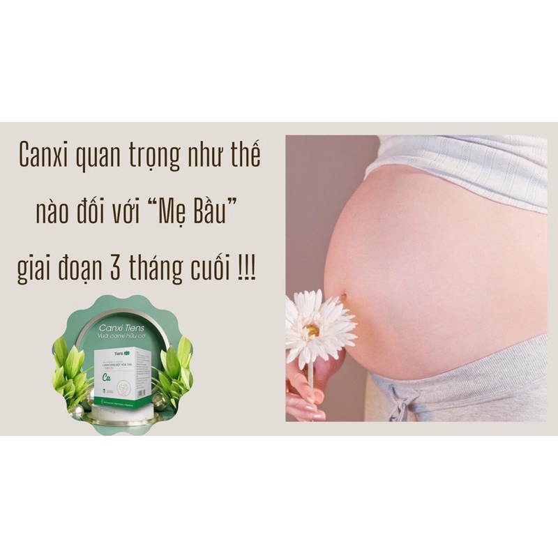 CANXI HỮU CƠ TIENS