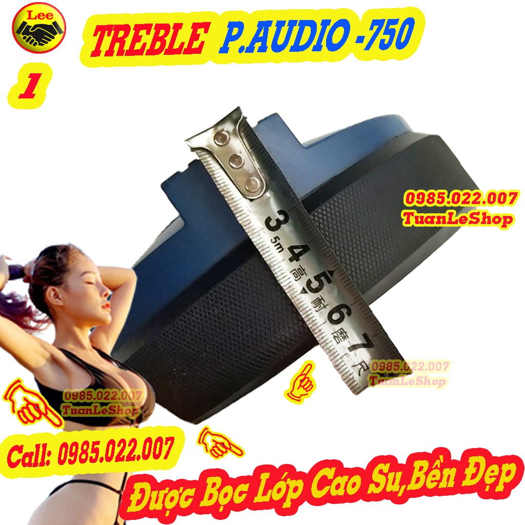 LOA TRÉP P.AUDIO 750 + 01 TỤ 2,2MF 400V -TREBLE 750 - Giá 01 CHIẾC