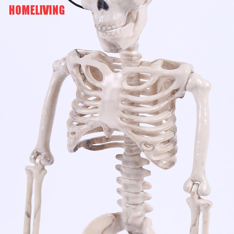 Bộ Xương Người Kinh Dị Trang Trí Halloween