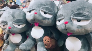 Mèo bông Dinga - 60cm