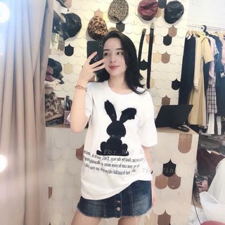 áo phông nữ thỏ