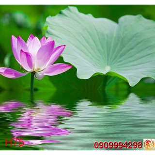 Tranh dán tường Hoa 3d, tranh hoa lá nhiều mẫu