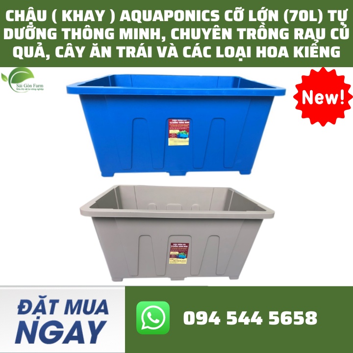 Chậu ( khay ) Aquaponics Cỡ Lớn (70L) Tự Dưỡng Thông Minh, Chuyên Trồng Rau Củ Quả, Cây Ăn Trái Và Các Loại Hoa Kiểng