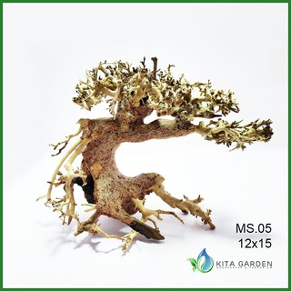 Bonsai Driftwood | kích thước 12x15 | Lũa Bonsai trang trí hồ cá thủy sinh | inbox để chọn cây thực tế