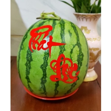 Chữ nhung đỏ dán dưa dán bưởi dán trái cây tết