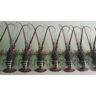 Tôm hùm tre mỹ nghệ (Bamboo Lobster)
