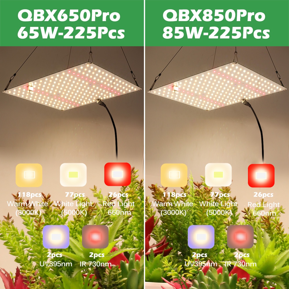 Đèn LED Trồng Cây LM281B toàn phổ lượng tử chip UV&IR 650W1500W chiếu sáng tăng trưởng cây trồng thuỷ canh cho nhà kính