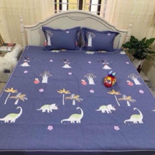 Vỏ chăn hàn quốc 100% cotton