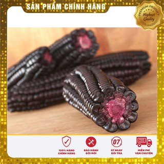 Hạt giống Ngô Nếp Tím dinh dưỡng ( gói lẻ 20 hạt)