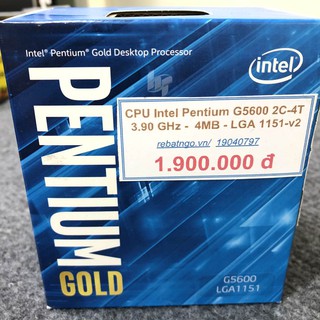 Bộ vi xử lý - CPU Intel Pentium G5600