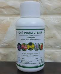 Chế Phẩm Vi Sinh Hữu Cơ P-GRO Trừ Nấm Sâu Bệnh