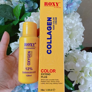 Combo thuốc nhuộm tóc kèm oxy Roxy Cao cấp