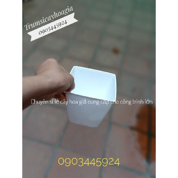 Chậu nhựa trắng vuông trồng cây thật,cây giả.Cao 12cm.Hàng Việt Nam-Trumsicayhoagia