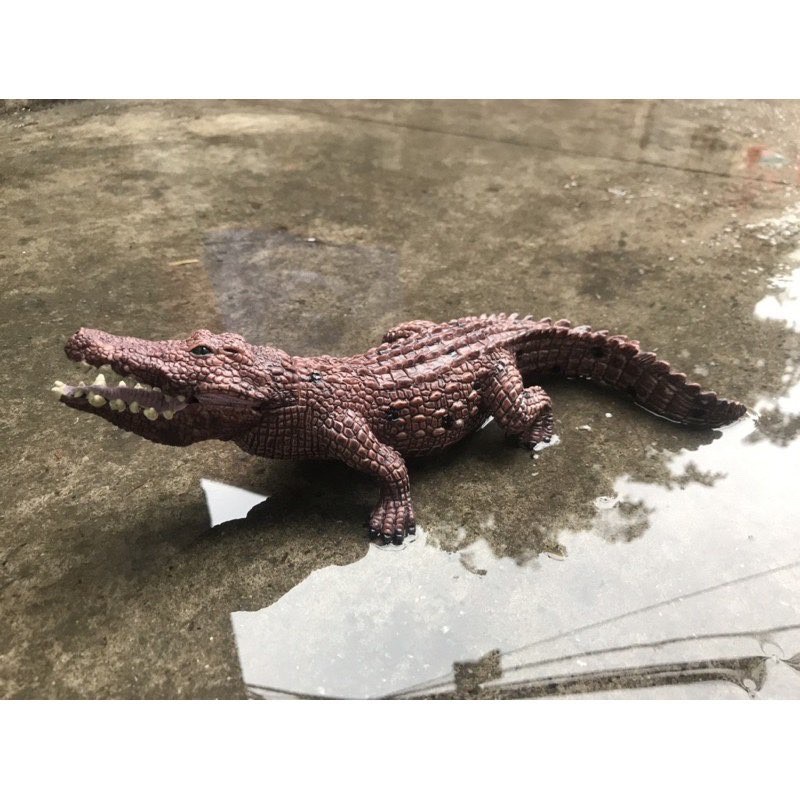 Mô hình cá sấu siêu to khổng lồ